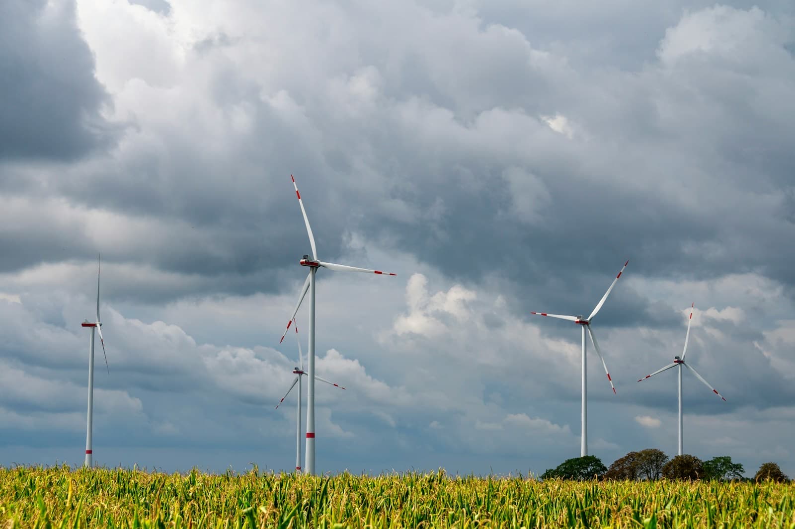 Wind turbines standing in a field of crops under a cloudy sky